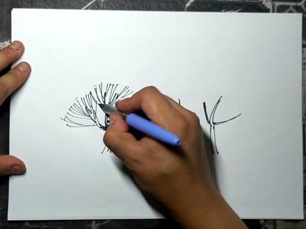 【景观手绘】枯树这样画超简单(第64期)