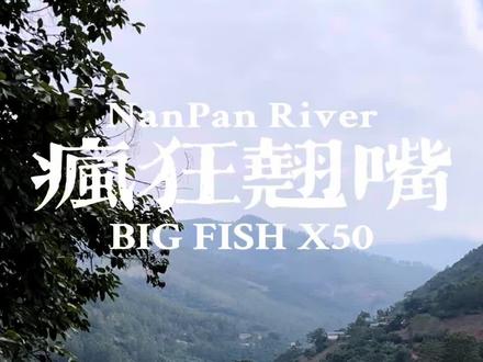 挑战云南翘嘴最强标点南盘江 能上的的一直上,该龟的还得龟#钓鱼才是抖音运动顶流 #钓鱼 #路亚 #打龟