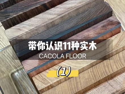 木材种类你认识几种?#木地板 #木材种类 #地板木材 #干货分享 #实木地板