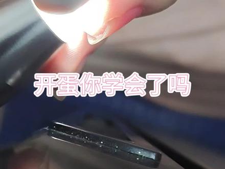 如何判断龟蛋的成熟度?提前开蛋,用手电筒照他的两头黑色的这一头一般就是头部。就算不用手电筒照,基本上都能判断,然后照它的卵黄,卵黄收到只有黄豆大小的时候就可以开了,还有头部的血丝退了之后,它照进去成一种非常清的颜色,这个时候就可以开蛋了,用手机的手电筒照也可以,但是没那么聚光,还有一种方式就是看到那个蛋壳有一点点黑点在上面了,就可以开了,提前开窗有助于这个龟苗的破壳率,有的朋友是第一次繁殖,那个母龟本身也是比较小的体型,下的蛋也比较小,苗子相应就比较脆弱,更加需要人工干预,还有的朋友刚买的种龟回来换了环境之后不适应导致蛋在体内滞留过久,蛋壳变厚增加了这个龟苗的出壳难度,人工干预对龟苗后期饲养没有任何影响,不要去信人家的有的所谓的大神什么物竞天择,我们人工养殖就是要它的存活率高,物竞天择的话,直接丢河里面就行了,看到那种大神什么适者生存论的直接就可以略过,我们养这个龟它是一个宠物,给我们提供情绪价值,更像是家庭的一份子一样,要好好的对待它