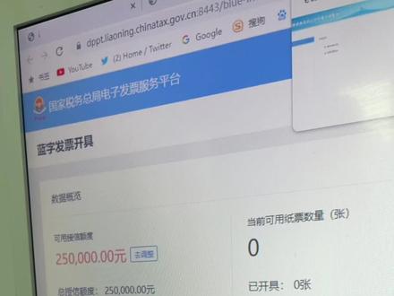 全电发票授信额度#会计 #会计实操