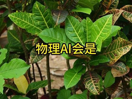 物理AI会百倍吗 #物理ai #机器人 #孙宇晨