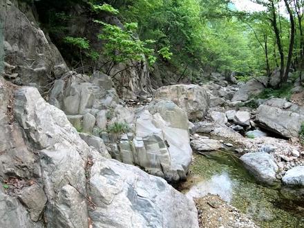 上山放生柳根鱼,为驻马店原生资源助一份力#原生鱼 #户外 #行走山水间