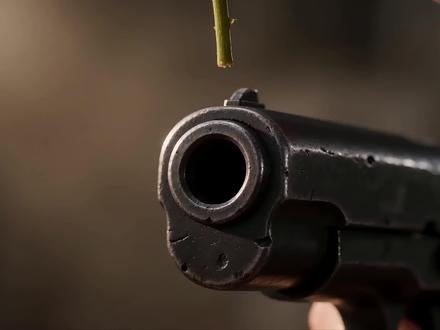 “子弹要飞多久 才能变成和平的白鸽” #世界和平远离战争 #和平