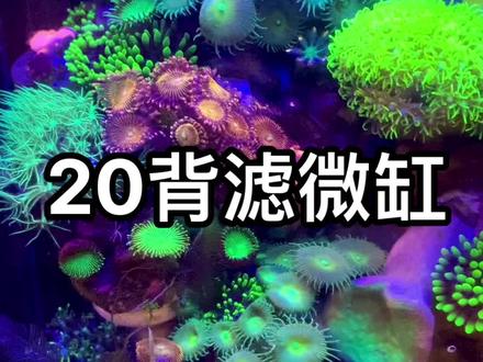 20背滤微缸 无蛋分,无造浪,高仿积光M1的一款二三十小灯 #微缸 #贱贱玩海缸
