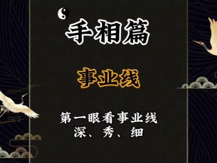 「来半斤」玄学国学知识手相篇事业线直观的深、秀、细 #手相 #掌纹的秘密 #道系青年