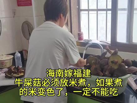 婆婆说:煮牛屎菇必须放米煮,只要米是白的蘑菇就可以吃,如果煮的米变黑色了,一定不能吃,而且切煮的蘑菇动作要快,不然会发青,你们有这样的说法吗?
然后起锅烧油放入蘑菇,切好的辣椒和香叶放进去,巴拉巴拉美味的野生菌就出锅了,好好吃😋#记录生活 #地方特色美食 #好味道 #远嫁的姑娘