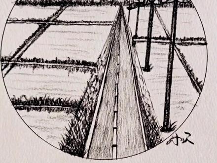 #手绘 #画画 #想画就画 #抖出我的艺术 稻田➕公路,一副绝美的乡间风景画就出来了,你还等什么?拿起铅笔