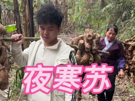 山上到处都宝#大自然的馈赠 @林姐