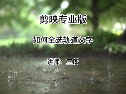 剪映电脑专业版如何全选轨道上的文本字幕#剪映专业版 #剪映专业版教程 操作剪映的过程中遇到任何问题,欢迎在视频下方留言,我会及时给您回复@抖音小助手 #剪映基础入门教程