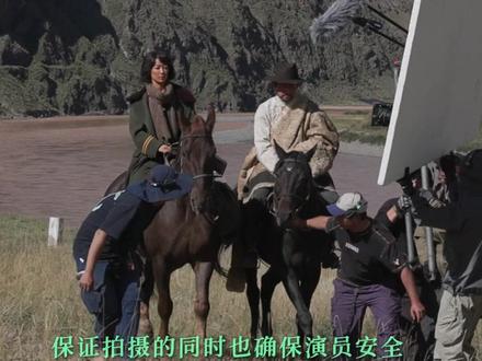 掉落一则手搓拍摄的珍贵画面。#生命树