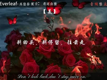 别回头,别停留,往前走#ch #原创视频