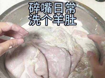 羊肚到底怎么吃?#羊肚 #羊肚清洗教程