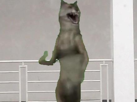 #狼王跳舞 #狼王跳舞原视频bgm #未知生物 #新物种