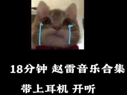 沉浸式体验赵雷 的合集#赵雷