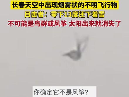 吉林长春天空中出现烟雾状的不明飞行物,目击者朱先生称当时零下13度还下着雪,不可能是鸟群或风筝,3分钟左右,太阳出来就突然消失了(来源@恒大物业租售天成 感谢分享!)#不明飞行物