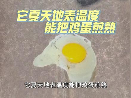 我国十大高温城市,榜首没有空调根本无法承受#高温城市 #吐鲁番 #重庆 #抖音精选