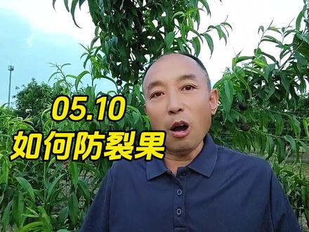 如何预防裂果?参考这四点 #桃树管理 #桃树种植 #桃树苗 #抖音助农
