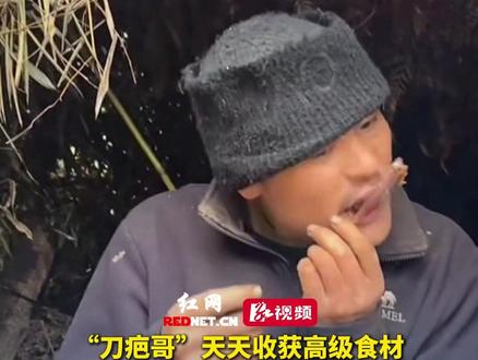 “刀疤哥”天天收获高级食材,凡尔赛发言把自己都说笑了,“天天有的话 吃来吃去还有会有点腻”。#张家界七星山荒野求生选手精神状态超前
