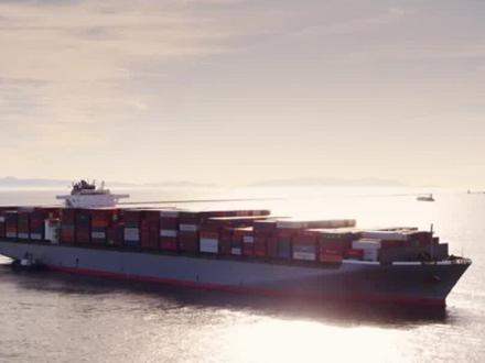 为什么中国满世界买粮食,而印度却大量出口粮食? #印度 #科普