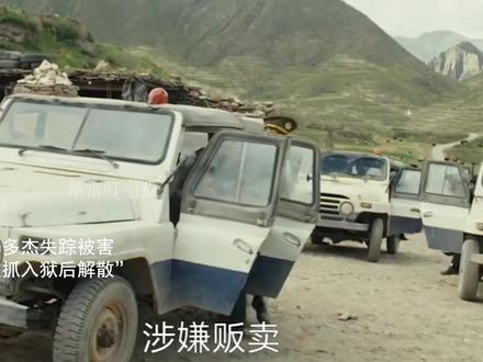 生命树:大结局多杰失踪被害,巡山队被抓入狱后解散,白菊被调离 #生命树 #胡歌 #杨紫 #梅婷 #生命树有问必答