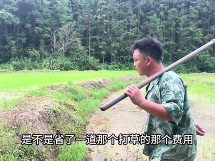 种子下田这么久,终于可以进水了,今年产量会如何呢? #乡村生态环境现状 #新农人计划 #种地不容易