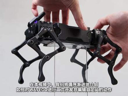 开工啦,12自由度WAVEGO仿生四足机器狗 二次开发教程 #开工大吉 #教程来了 #机器狗 #编程#二次开发