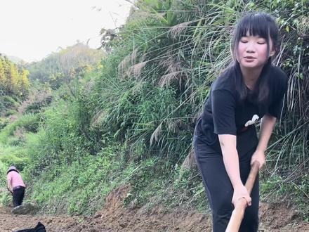 为什么一定要守住你这一亩三分地?难道是嫌弃我锄头不够长吗?