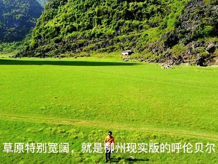 柳州现实版的呼伦贝尔,超级适合露营、踏青、拍照#田园生活 #治愈系风景 #大自然的美 #随拍 #治愈 #大草原 #新农人计划