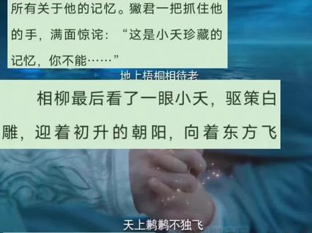 最后一次执手,最后一次见你#长相思 #小说 #相柳 #小夭 #夭柳 @DOU+小助手
