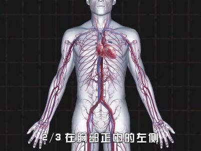 盘点十种罕见的人体特征,全球只有极少数人拥有,看看你能占几种?(2/3)#耳朵上的小孔 #镜像心脏 #罕见特征