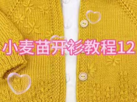 小麦苗开衫教程12-2