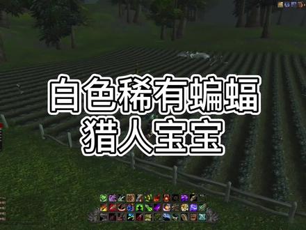 提瑞斯法林地 稀有白色蝙蝠 能开嗜血#魔兽世界 #我们比你们多一个世界 #网游