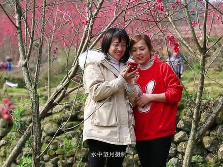 今日新闻直播间播报员 d46a825128b064249d1499fa2f8112ae~tplv-dy-resize-origshort-autoq-75:330.jpeg?x-expires=1999134000&x-signature=OBVhHtT8QPKAXo2XxupaIbiinJQ%3D&from=3213915784&s=PackSourceEnum_AWEME_DETAIL&se=false&sc=cover&biz_tag=pcweb_cover&l=2023051111565543E5A4F39893A107BB54