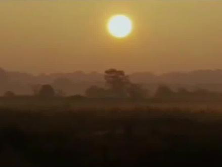 他证明了平行线可相交,却遭质疑抑郁而终,12年后其理论终被证实 #平行线 #欧几里得 #几何学