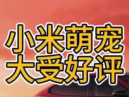 小米新su7 萌宠 #小米 #小米汽车 #小米su7