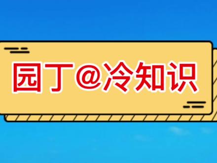 身份证防伪知识之二,四个防伪标识#冷知识#知识分享 #身份证 #防伪 #希望能帮到你