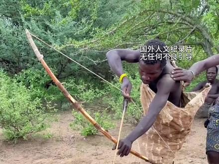 非洲哈扎比部落黑子哥吃土豚 #哈扎比部落#非洲生活#原始部落