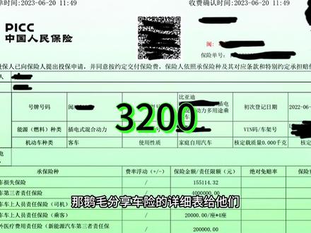 新能源车,第二年车险该怎么买?#比亚迪 #宋plusdmi #新能源 #车险 #新能源车险