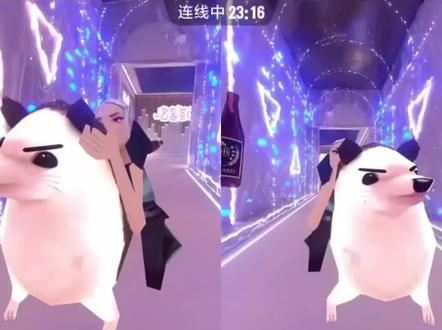 我不知道为什么会有那么多黑粉,连男生说他是gay,连女生又说他是色瓦,你们到底要他怎样。哎#瓦瓦#别带节奏 节奏#白茶酱酱W #直播录屏分享 #略略略😝瓦瓦切片