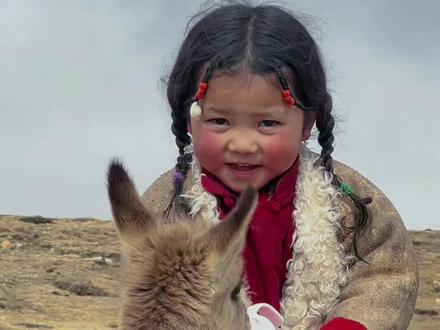 高原人常与高原上的动物为伍,小卓玛与小动物间的感情也很深.