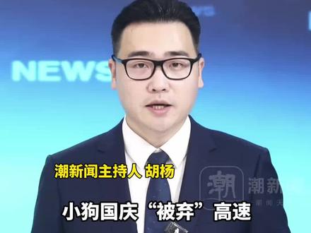 小狗国庆“被弃高速”不吃不喝苦等主人,7天后主人找来了!表示不是故意丢弃,特意绕行数十公里来找它
