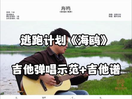 海鸥吉他弹唱, 逃跑计划《海鸥》吉他谱,海鸥吉他新手吉他谱海鸥吉他翻唱#吉他弹唱 #吉他教学 #吉他 #吉他谱 #零基础吉他教学