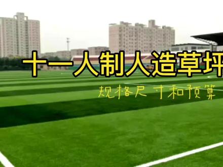 标准十一人制人造草坪足球场尺寸及价格预算#人造草坪足球场 #人造草坪 #足球场人造草坪 #足球场草坪