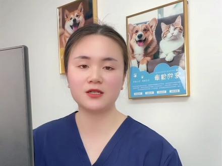 狗狗犯错,用狗界脏话教训它#养狗经验分享