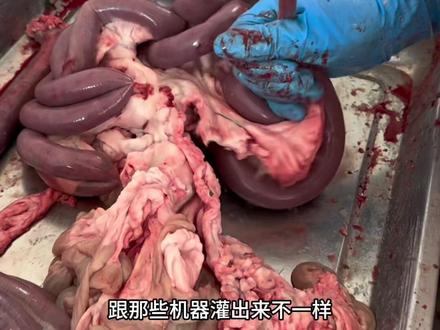 内蒙古传统手工工艺灌制羊血肠,用羊肺子把羊肠子里面刮的干干净净的!#真材实料才能做出好味道 #灌血肠