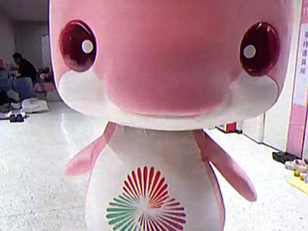 18秒爱上大湾鸡#大湾鸡 #全运会 #18秒让你爱上我