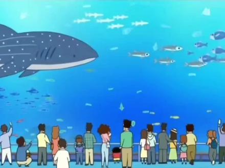 刚刚看到珠海长隆海洋王国最大的鲸鲨在昨晚(3月8号晚上)去世了....据说鲸鲨全球只有七千多条,谢谢你,在2024年的时候,让我有幸近距离看到鲸鲨😭