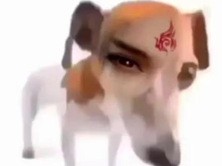 师尊🥺……为何一直看👀着我😯,莫非是弟子下山这么多天❓师尊……也思念🥰徒儿了🥲。🥒:我养的😒,还不许我看了😏❓🐶:自然许得😚❤️,师尊看的👀,可还顺眼😣🥺😢❓#渣反 #洛冰河 #沈清秋 #冰秋 #抽象 音频来源:@東京雨_Tokyo*