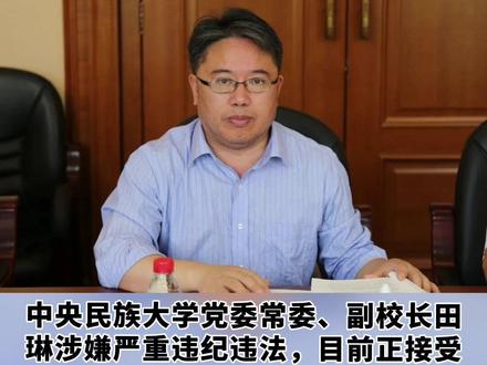 中央民族大学副校长田琳,被查